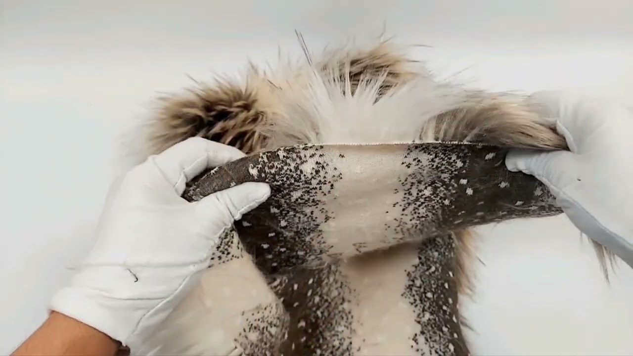 Mojave Desert Wolf Animal Faux Fur