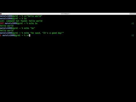 Variables in the Linux Shell Script Tutorial