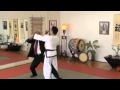Hapkido  world martial arts center self defense techniques