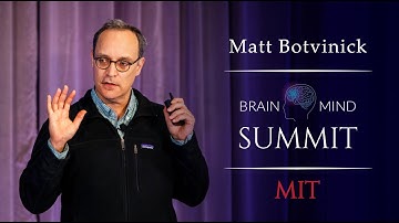 Matt Botvinick - Holy Grail Questions at the Intersection of Neuroscience and AI