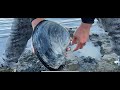 Visited Mill Bay, Clam Digging
