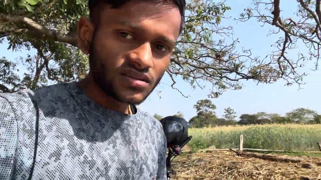 Gehun Ki phasal aa gai katai ke liye wheat