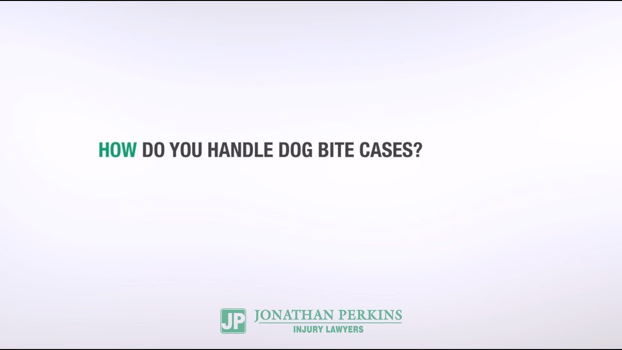 How do you handle dog bite cases? YouTube