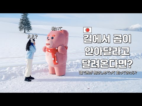 (Prank) Bellygom in Biei and Sapporo in Japan..... Sapporo Episode☃️