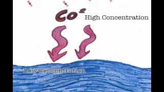 Ocean Acidification - Corrosion Explosion