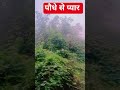 जब आपको लगे कोई आपसे रिश्ता नहीं रखना चाहता#sortvedios #agricul#farming #facts #ytshorts #gardening