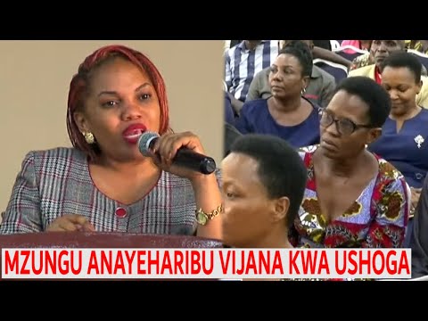 Video: Kutoka kwa kiashiria cha hadhi hadi nyongeza ya kila siku: historia ya mwavuli