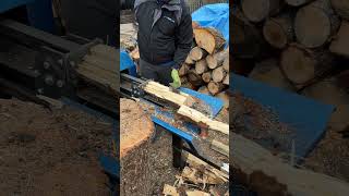 Log Splitter Power Snap #woodsplitter #firewood #satisfyingvideo