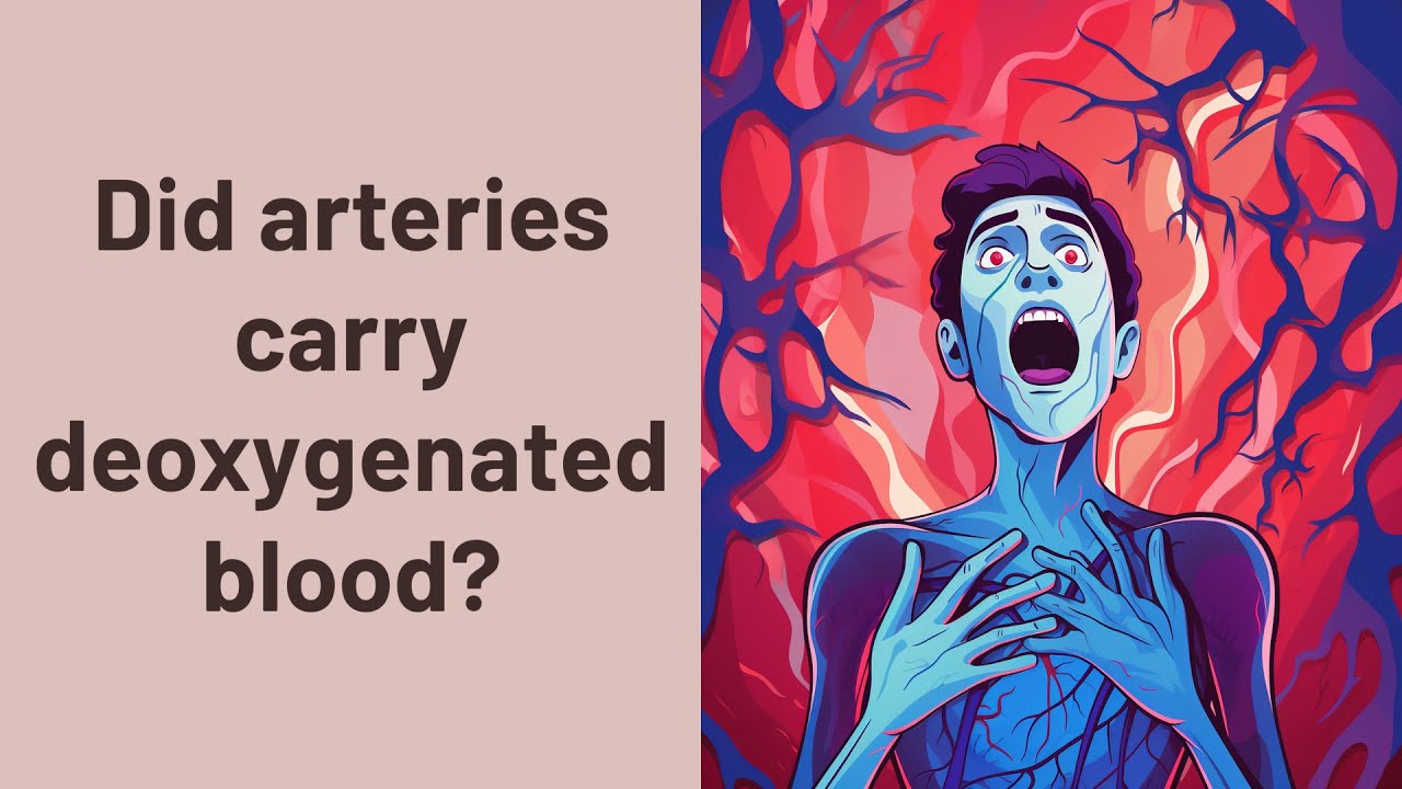 Did arteries carry deoxygenated blood? YouTube