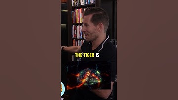 Why Most D2D Salespeople Fail...❌ | Jeremy Miner