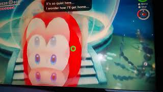 The broodals over the lake (Mario odyssey)