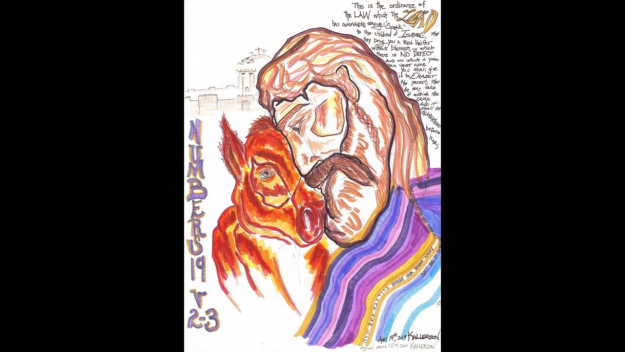 numbers-19-1-10-the-red-heifer-youtube