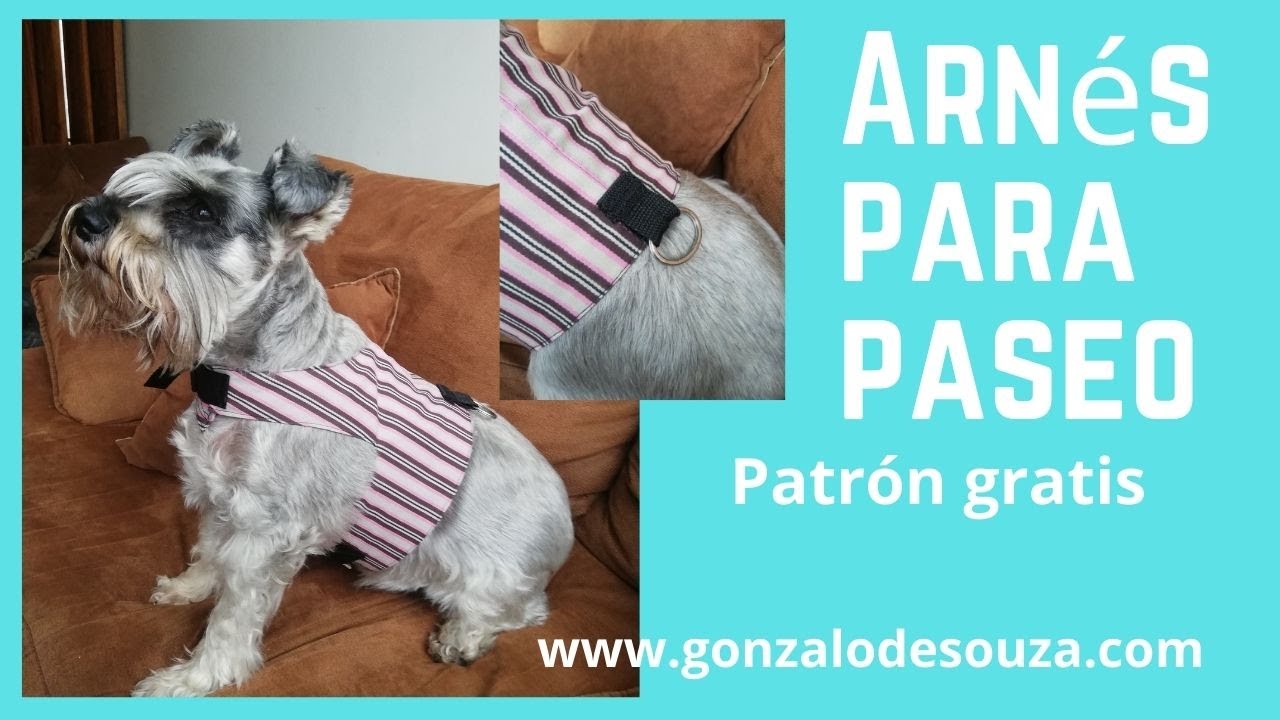 Arnés para perro