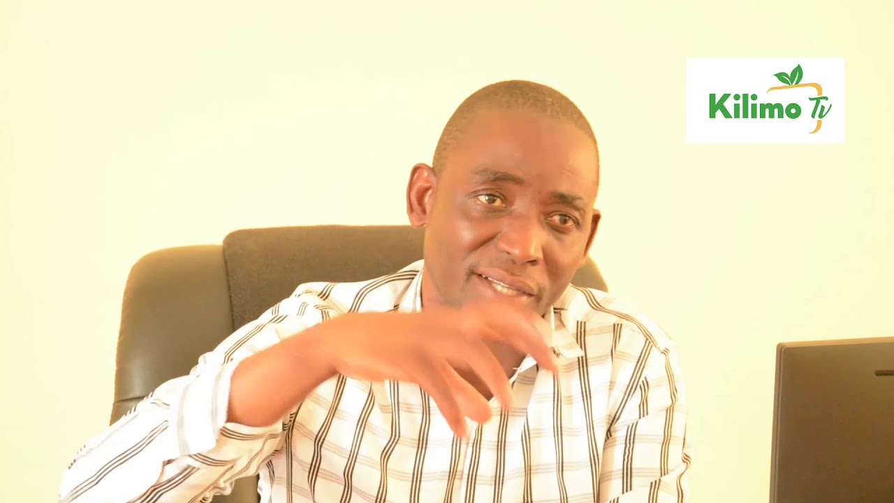 ONGEZEKO LA MAHITAJI YA MKONGE  NA CHANGAMOTO ZAKE