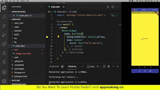 Celebrity 6. Flutter Hello World | Flutter for Beginners #3 Profile