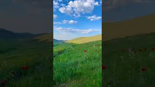 #peaceofmind #response #shortvideo #ameen #ramadan2026 #tranquility #zikar #madinah #naturebeauty