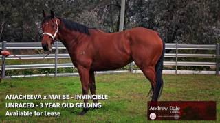 ANACHEEVA x MAI BE INVINCIBLE