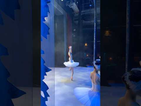 Ana Sophia Scheller — Second act Swan Lake coda .