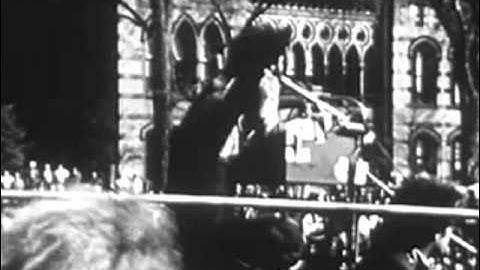 Shoulda Listened to the Hippies--A Louie Ludwig Video