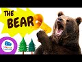 Understanding Bears and Mammals