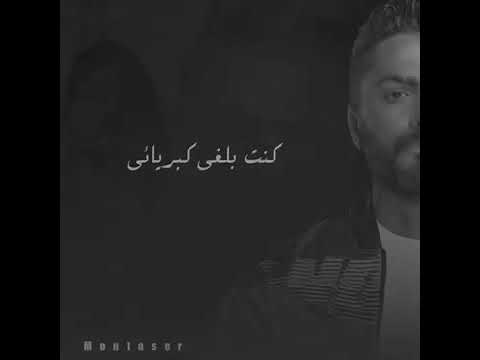 ورد صناعي تامر حسني حالات واتس