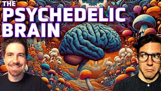 Revealing the Mind: The Neuroscience of Psychedelics (The Social Brain ep 36)