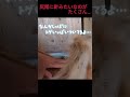 実は魚狙ってる猫 #猫ミーム #猫マニ #ねこ