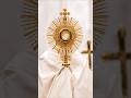 Prayer to the Most Holy Body of Christ