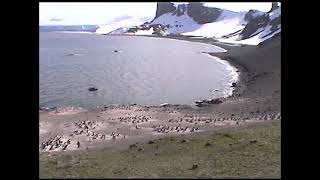 Antarctica 2000 part 5 by Portia Shao 10 views 2 years ago 11 minutes, 44 seconds