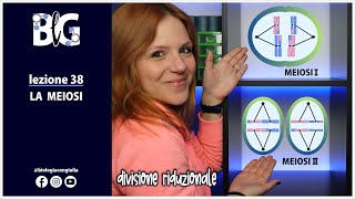 La Meiosi - Divisione Riduzionale Del Nucleo Nelle Cellule Eucariotiche