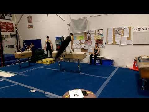 Virtual Stars Championships - Bright Raven Gymnastics - Ethan Rio - L10 PH