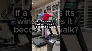 The FLY is a STRANGE name #funny #gym #insect