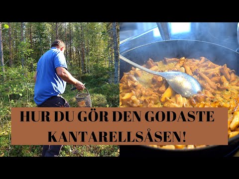 Video: Rullar Med Svamp Och Kött