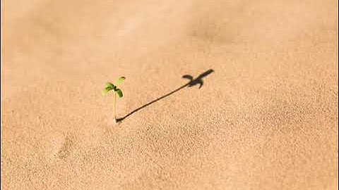 سورة الأنبياء ، الحج بصوت الشيخ عبدالرحمن الماجد