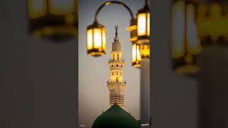#soothing: #the cool breezes #of Medina #and the  #light #of the green #dome"...