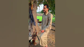 القارئ محمد شهاب 