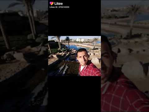 حسن عبدالوهاب 2020 