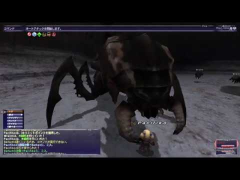 Ff11 セルケトリングを取りに行きました Hnm Youtube