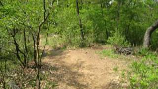 MVI_7125.AVI
