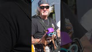 Who let the dogs out at Daytona Bike Week 2026? See dogs ride in style