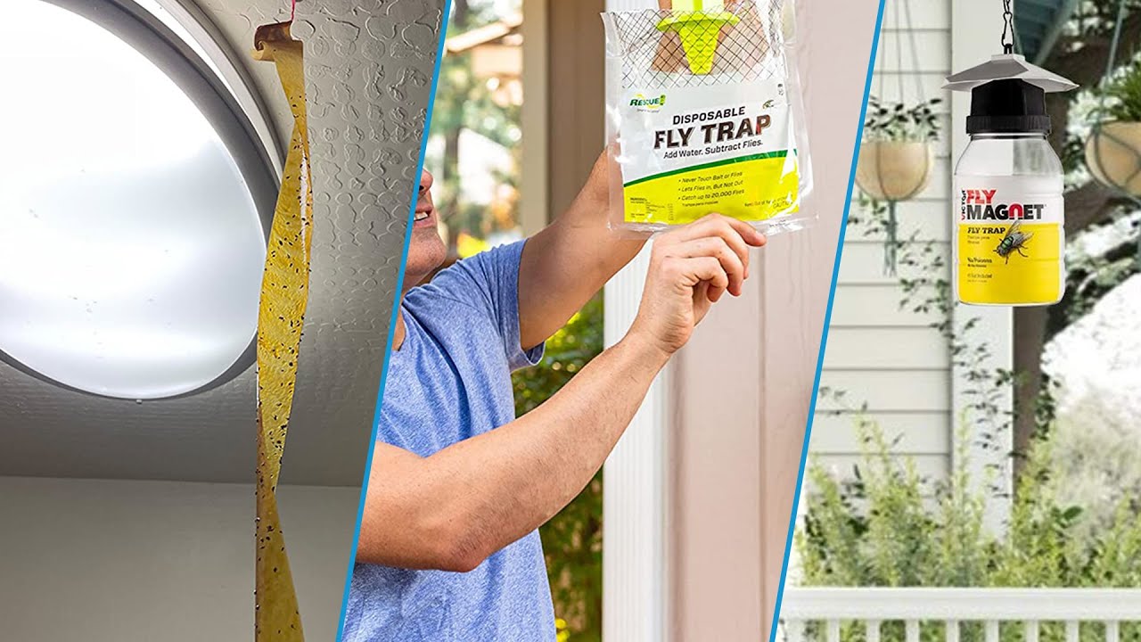 5 Best Fly Traps (2023 Guide) - This Old House