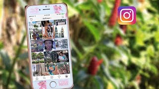 How I use 5 AMAZING APPS to have the PERFECT INSTA...