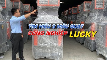 Test Gió Thật – 3 Mẫu Quạt Công Nghiệp Lucky Có Gì Hot?