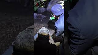 Nos estabamos adentrando en territorio peligroso #albertodelarco #paranormal #fantasmas #terror