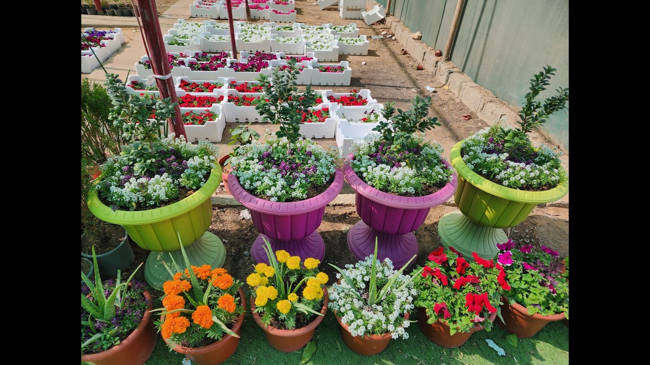 فلوق مطبخي اليومي