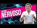 Sistema Nervoso | Prof. Paulo Jubilut