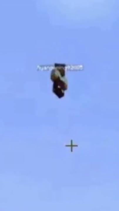 Il vole de ses propres ailes 🕊 | #humour #minecraft #twitch