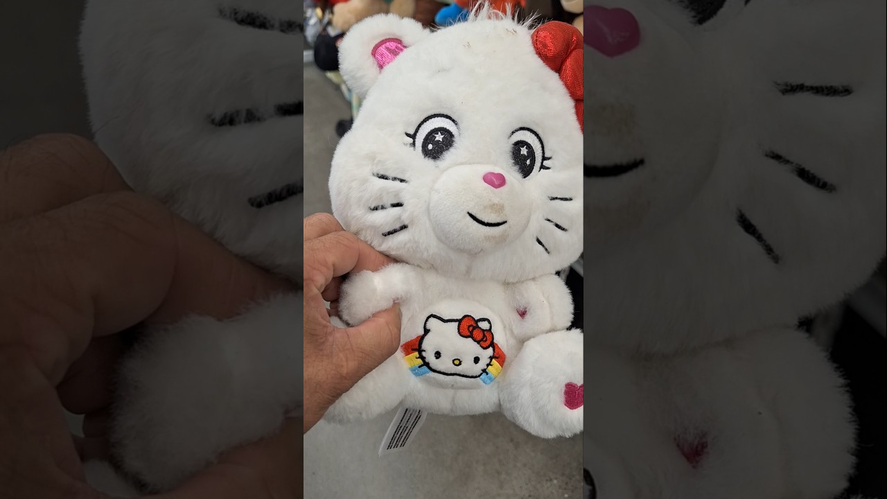 Hello Kitty Care Bear Plush plushie collectible item 