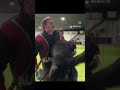 Fighting a Dutch Shepherd