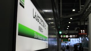 拍手喝采　北海道新幹線1番列車特別車内放送など